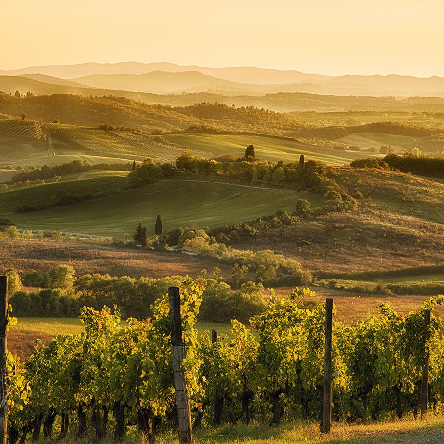 Chianti - Villa dei Bosconi